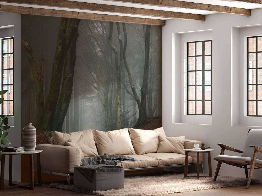 Sentiero attraverso la foresta misteriosa