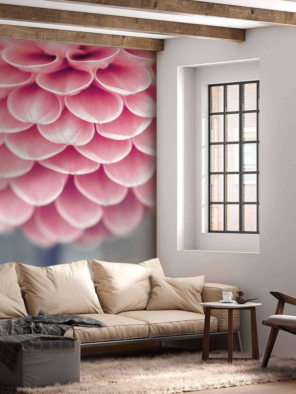 Primo piano di una dalia