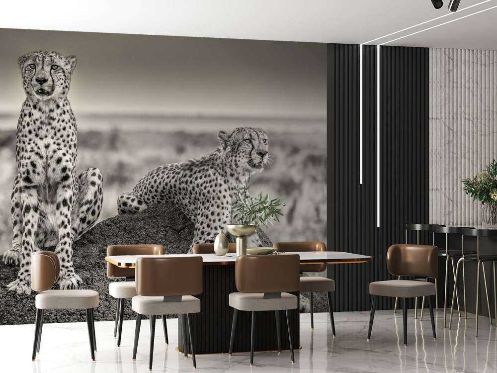 Two Cheetahs watching out