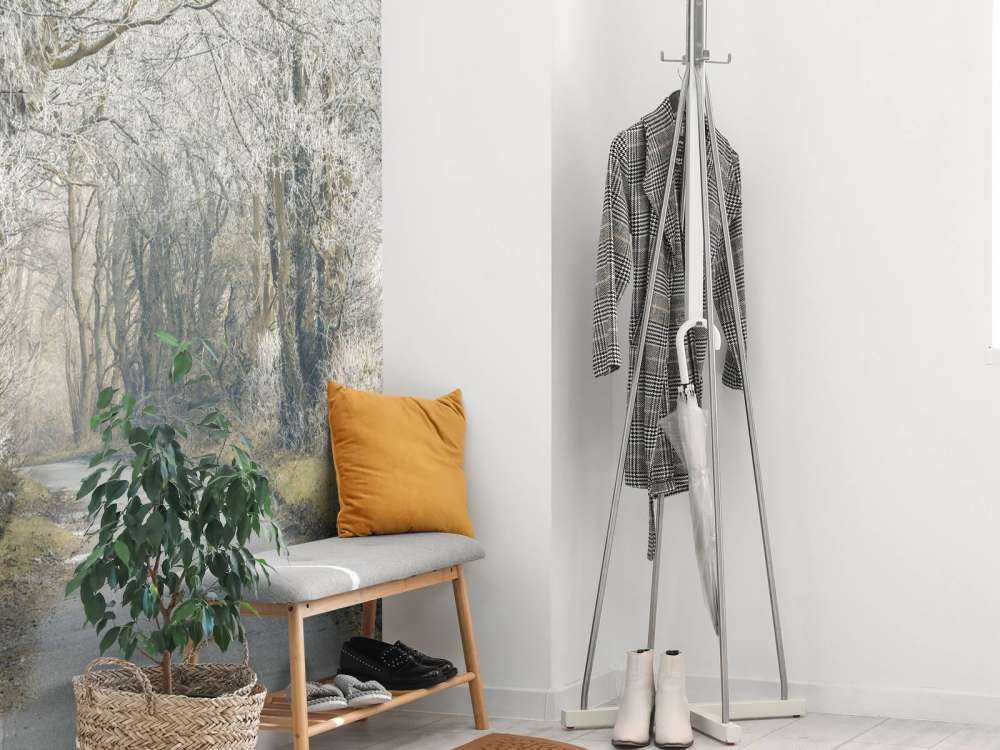 Strada ghiacciata attraverso la foresta