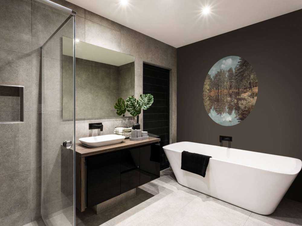 Alberi vicino a un lago