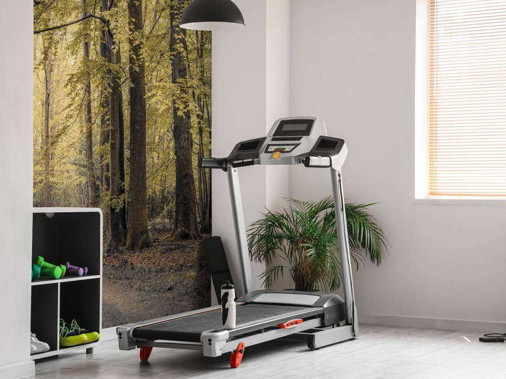 Sentiero nel verde della foresta