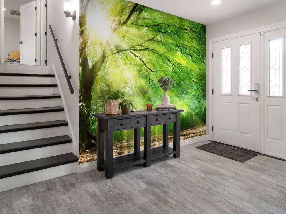 Grande albero con sole