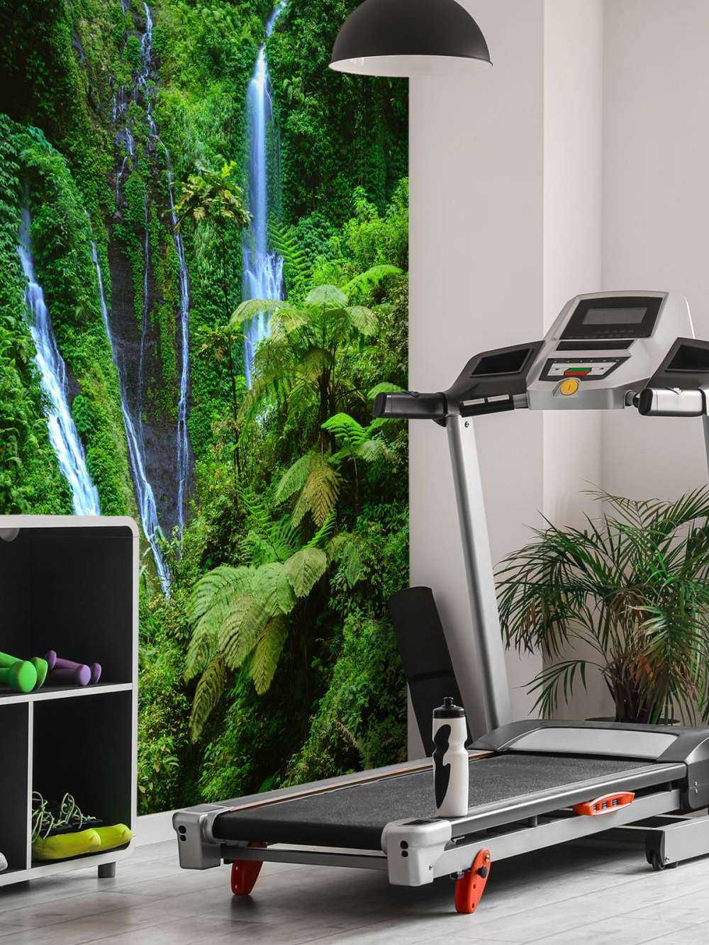 Giungla verde e cascate