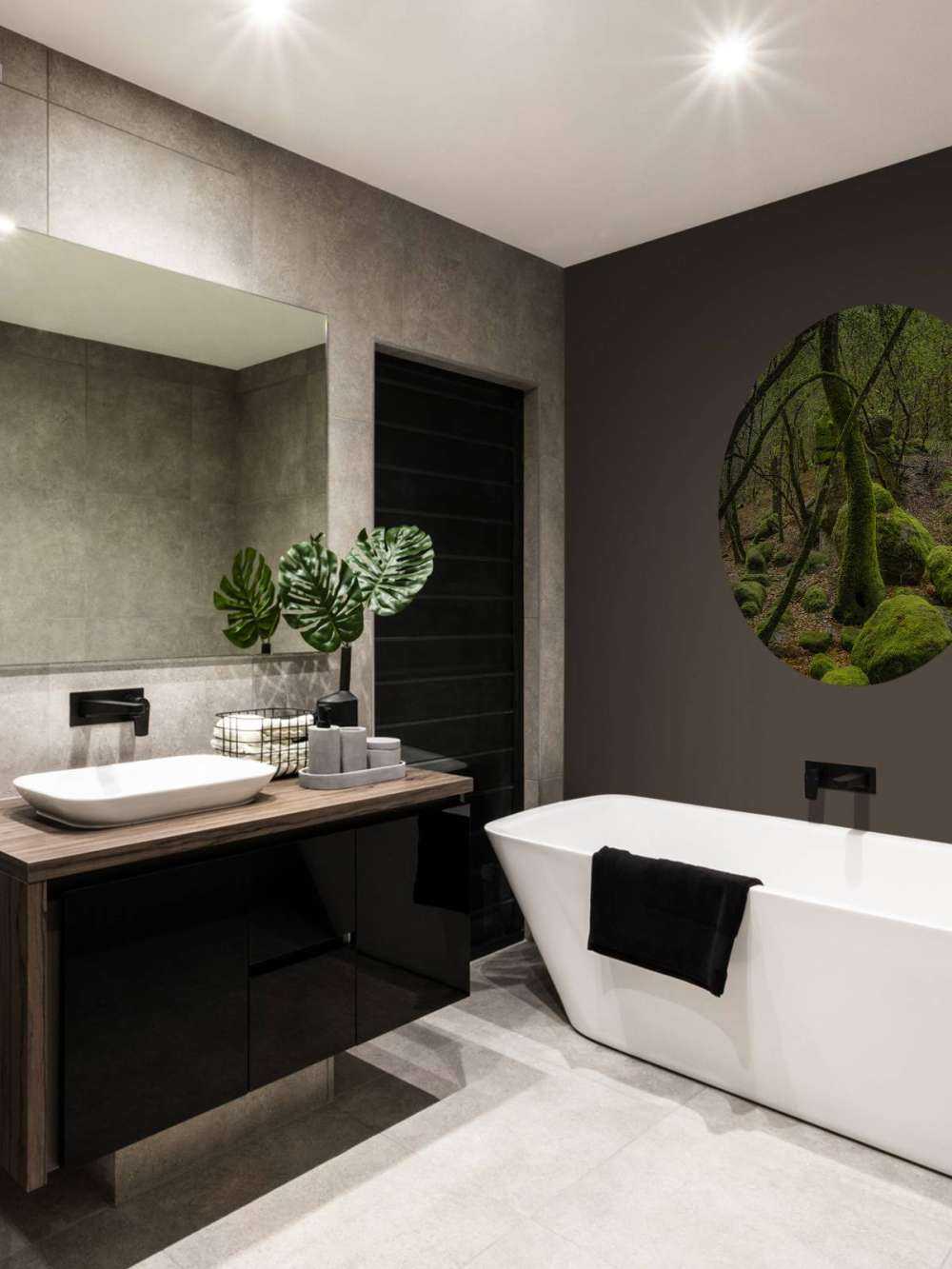 Alberi e pietre di muschio