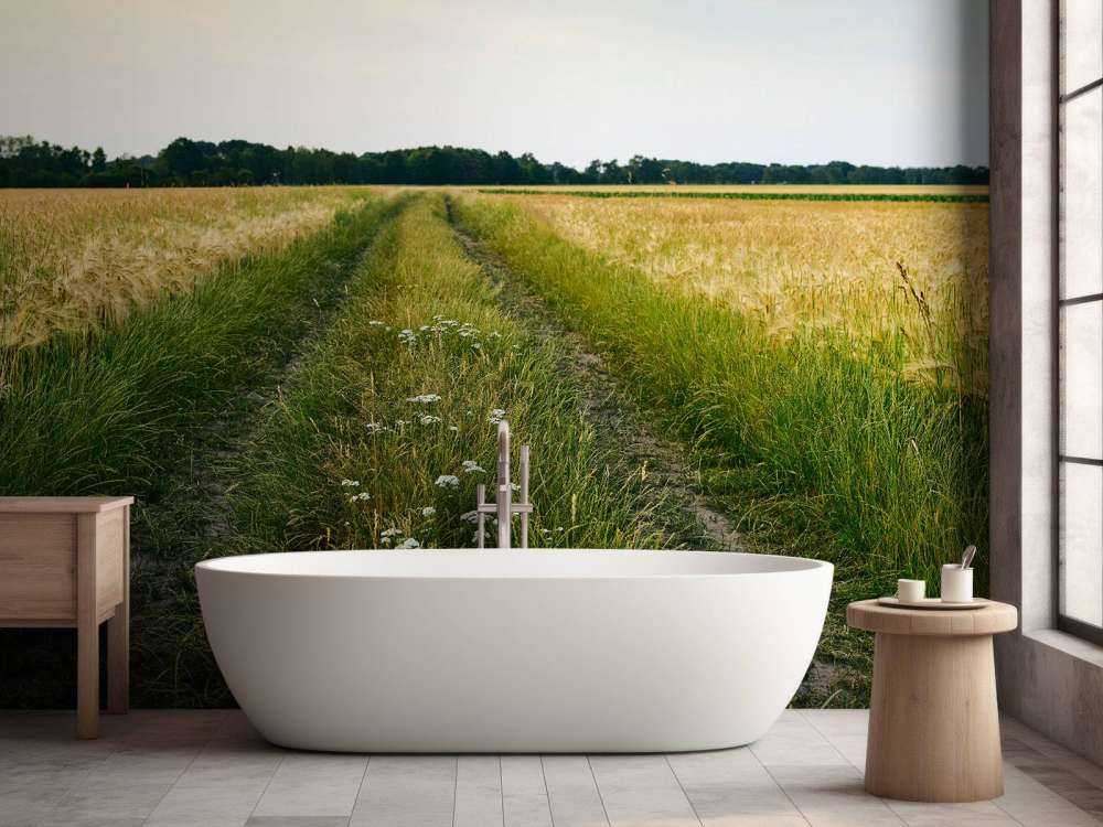 Pista in Wheatfield 