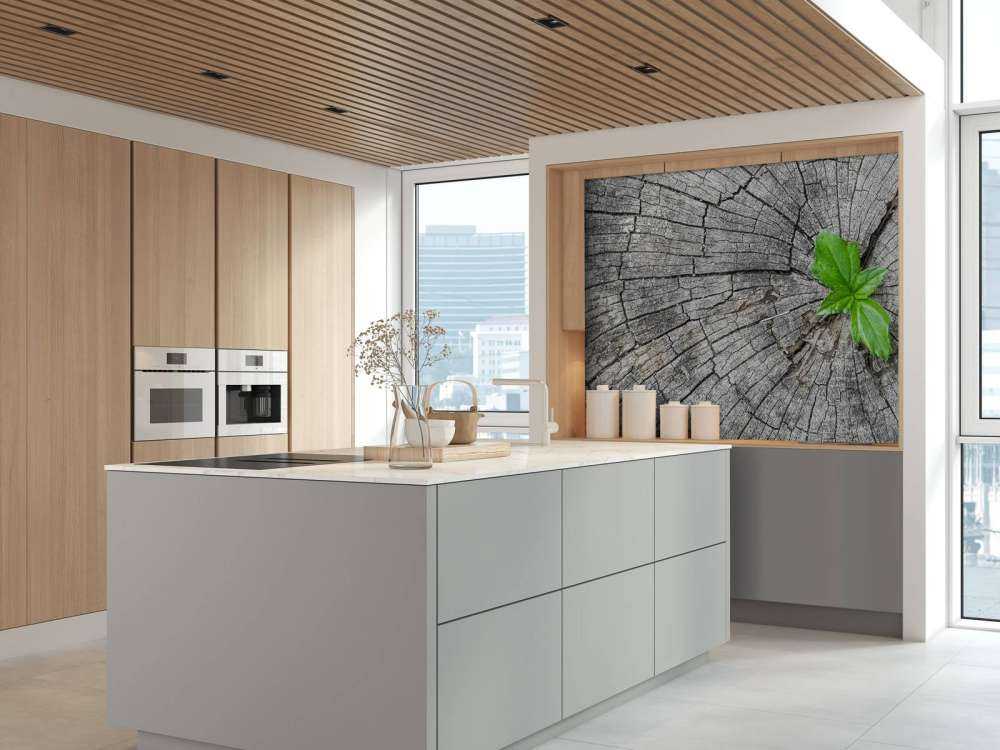 Diametro di un tronco d'albero 