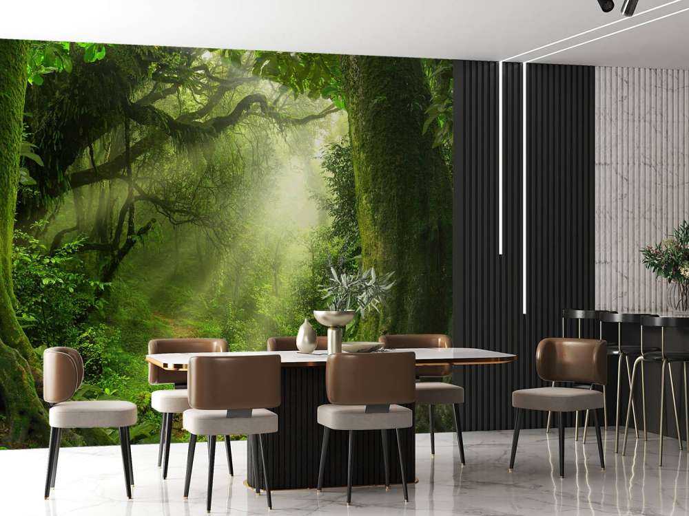 Giungla con raggi di sole