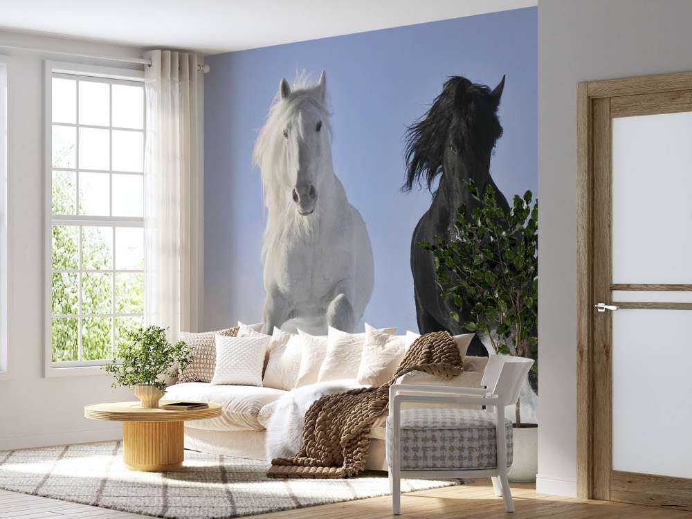 Bianco e cavallo nero