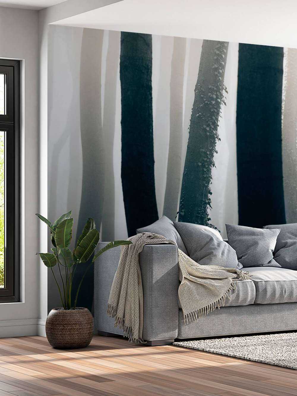 Nebbia nella foresta di faggio