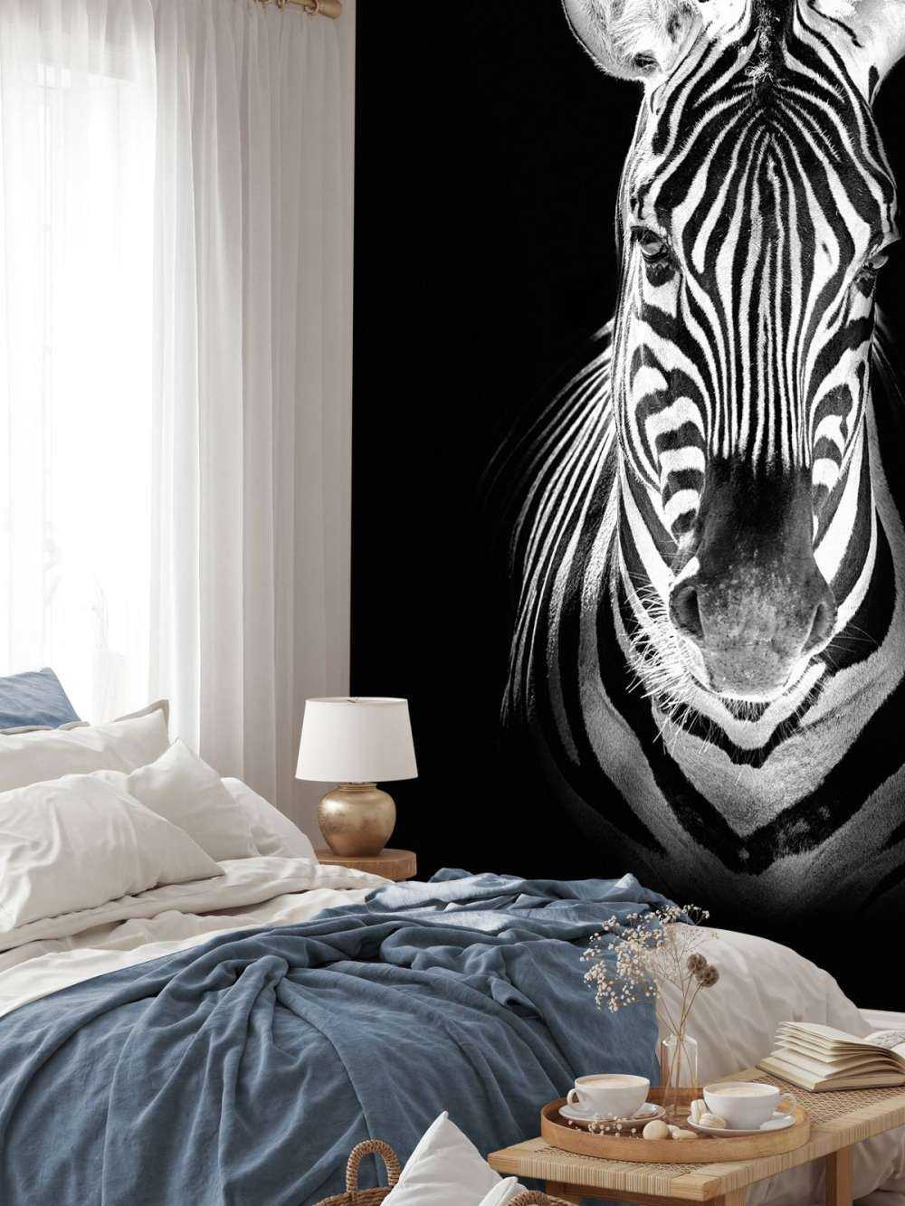 Close-up zebra in bianco e nero