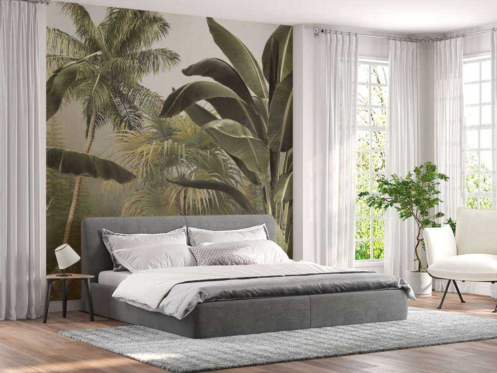 Bosco Tropicale Nebbioso