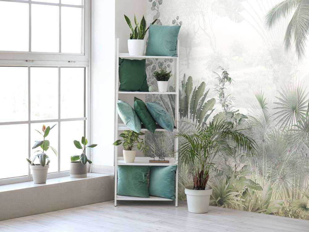 Mattina Nebbiosa nella Giungla