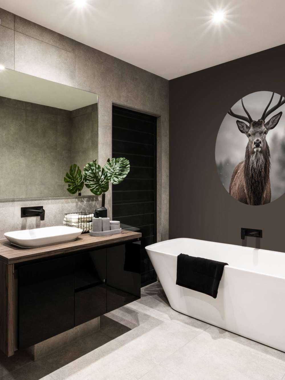 Sguardo del Re d'Inverno Cervo