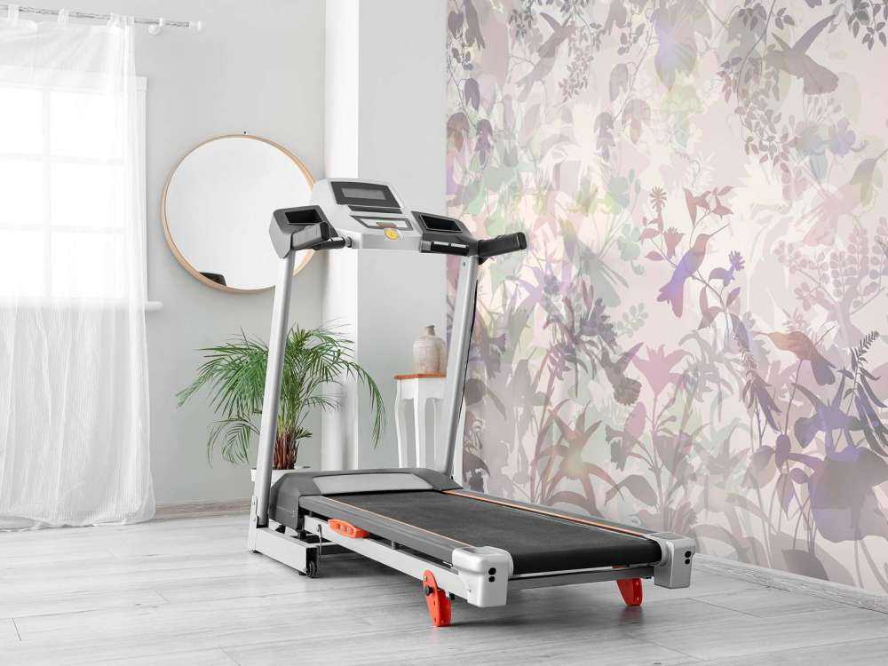 Sinfonia del Giardino in Viola