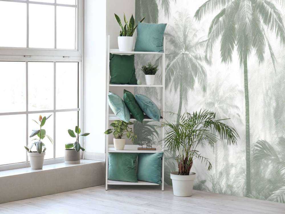 Foresta di Palme Nebbiosa, verde