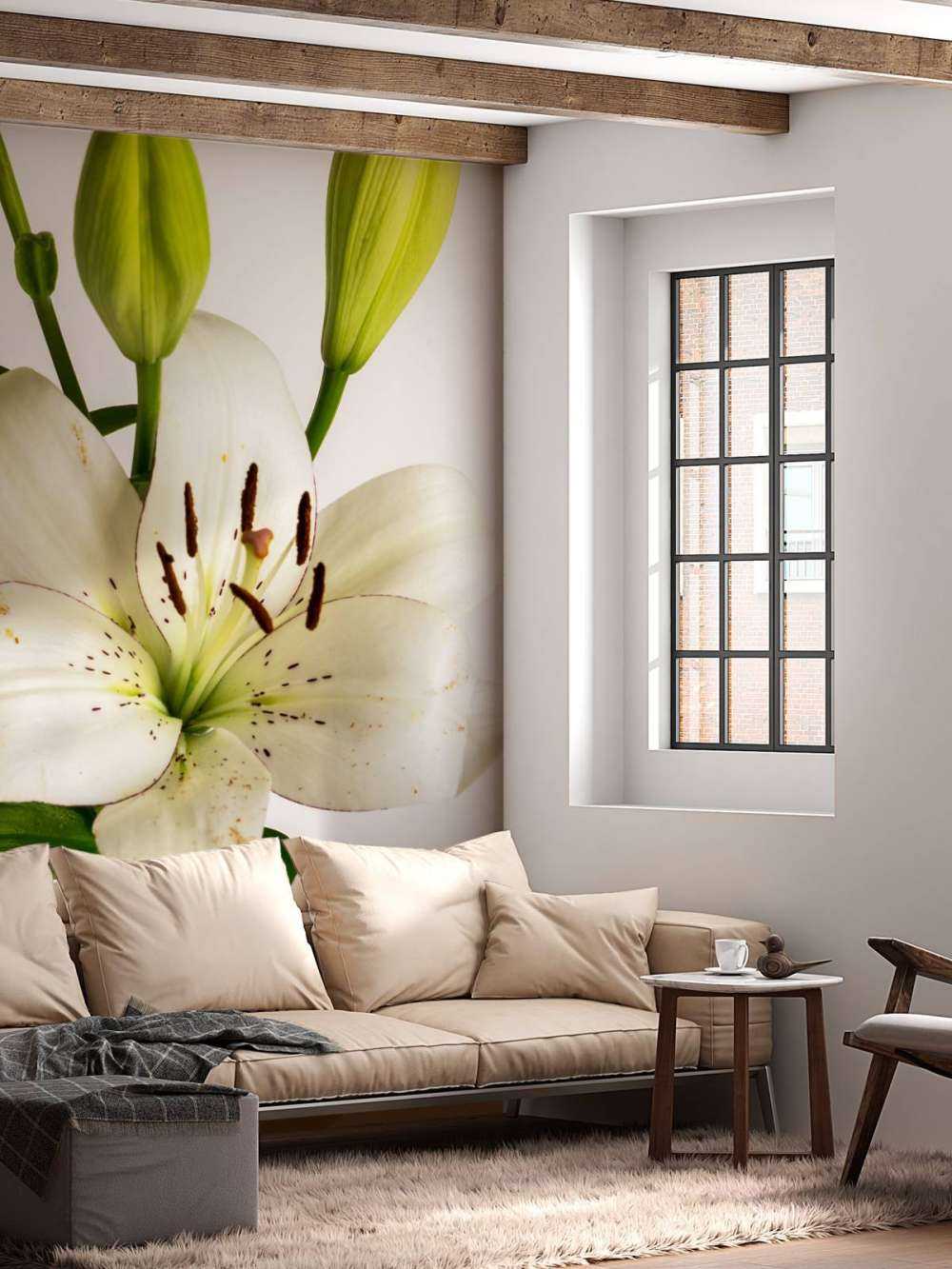 Fiore di giglio bianco