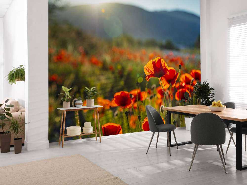 Papaveri con raggi di sole