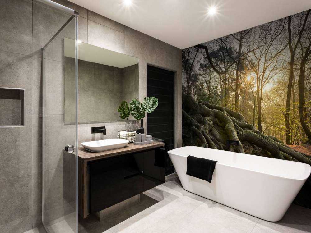 Radici dell'albero sopra il terreno