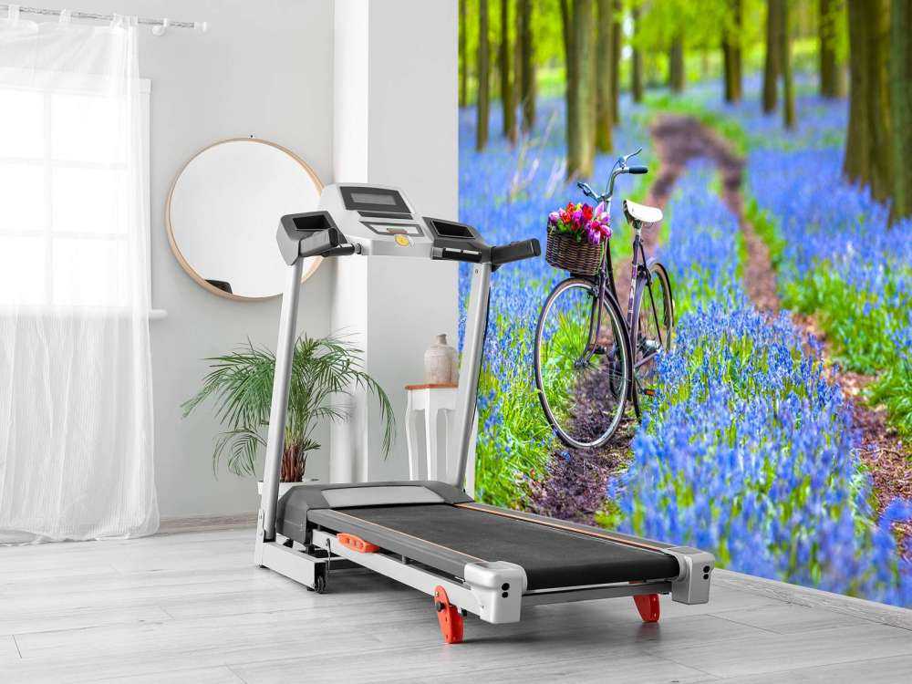 Bicicletta nella foresta