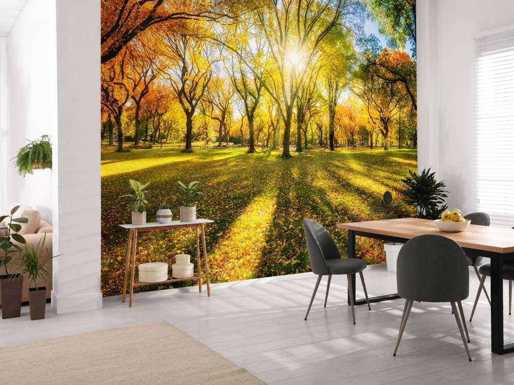 Foresta autunnale colorata