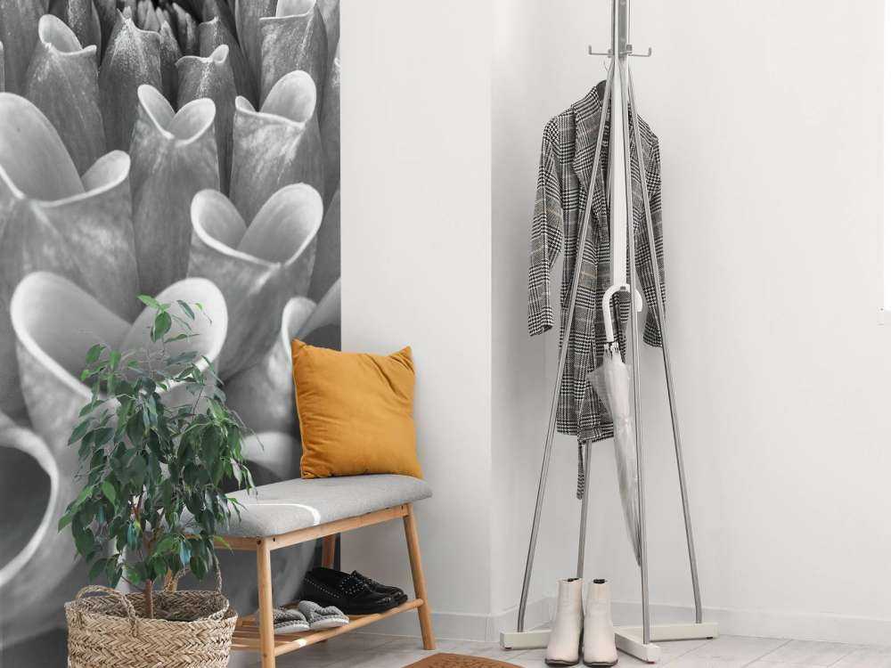 Dalia in primo piano