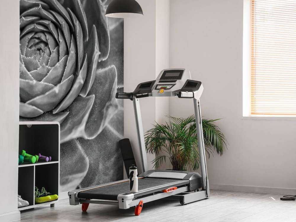 Succulento primo piano