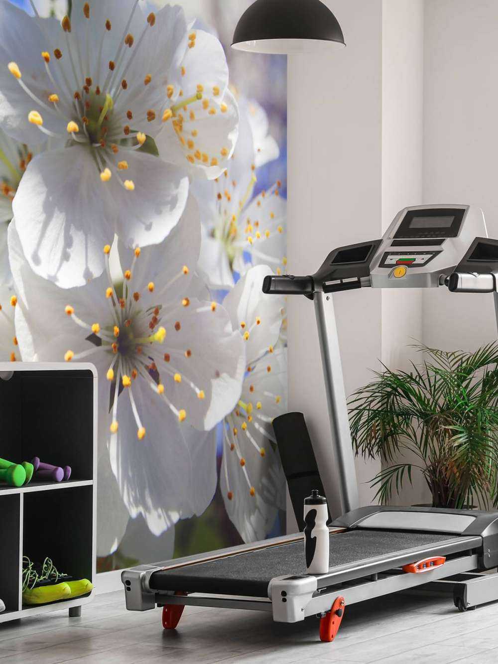 Fiori bianchi ravvicinati