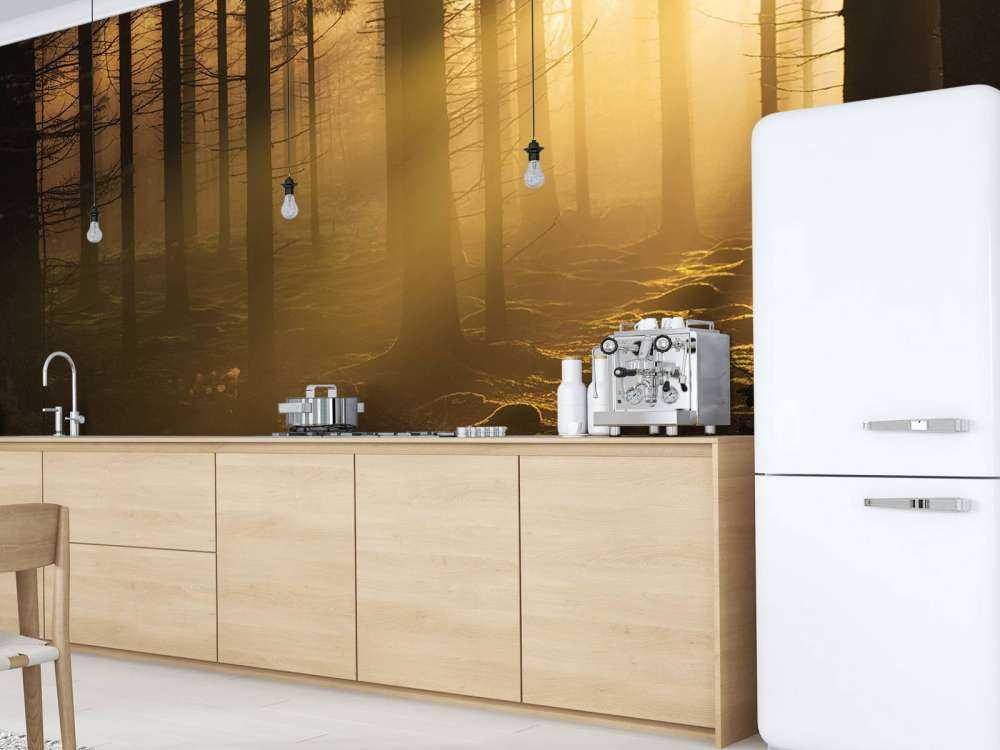 Scuro bosco autunnale