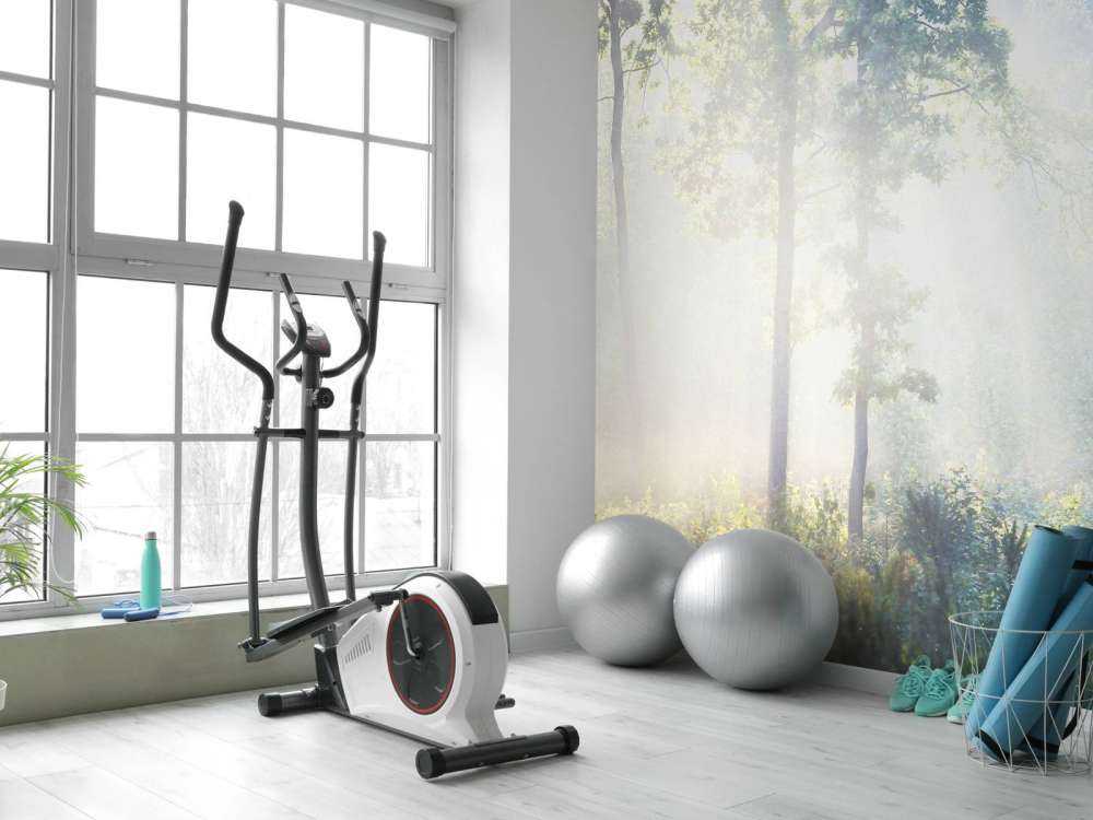 Una foresta misteriosa