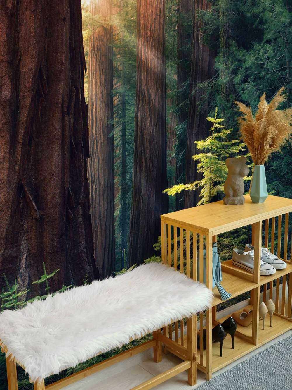 Luce del sole tra gli alberi di mogano