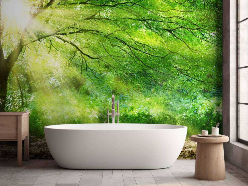 Grande albero con sole