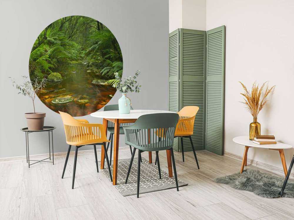 Fiume nella foresta pluviale