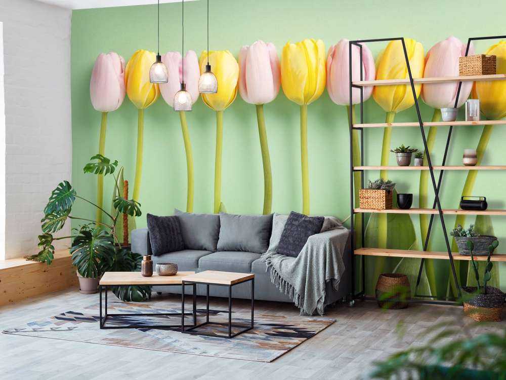 Tulipani su sfondo verde menta