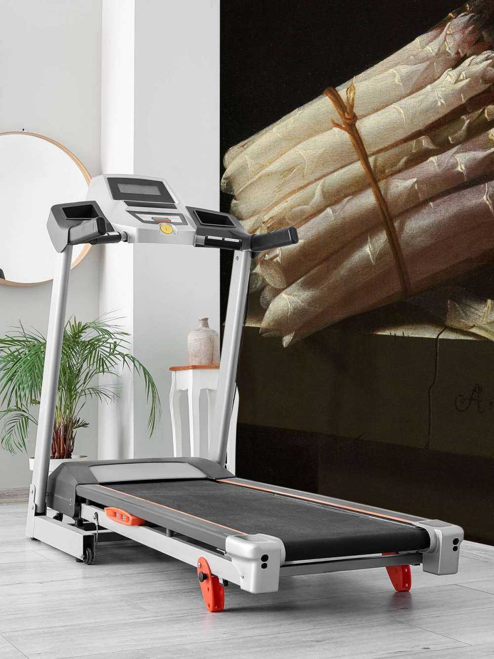 Natura morta con asparagi