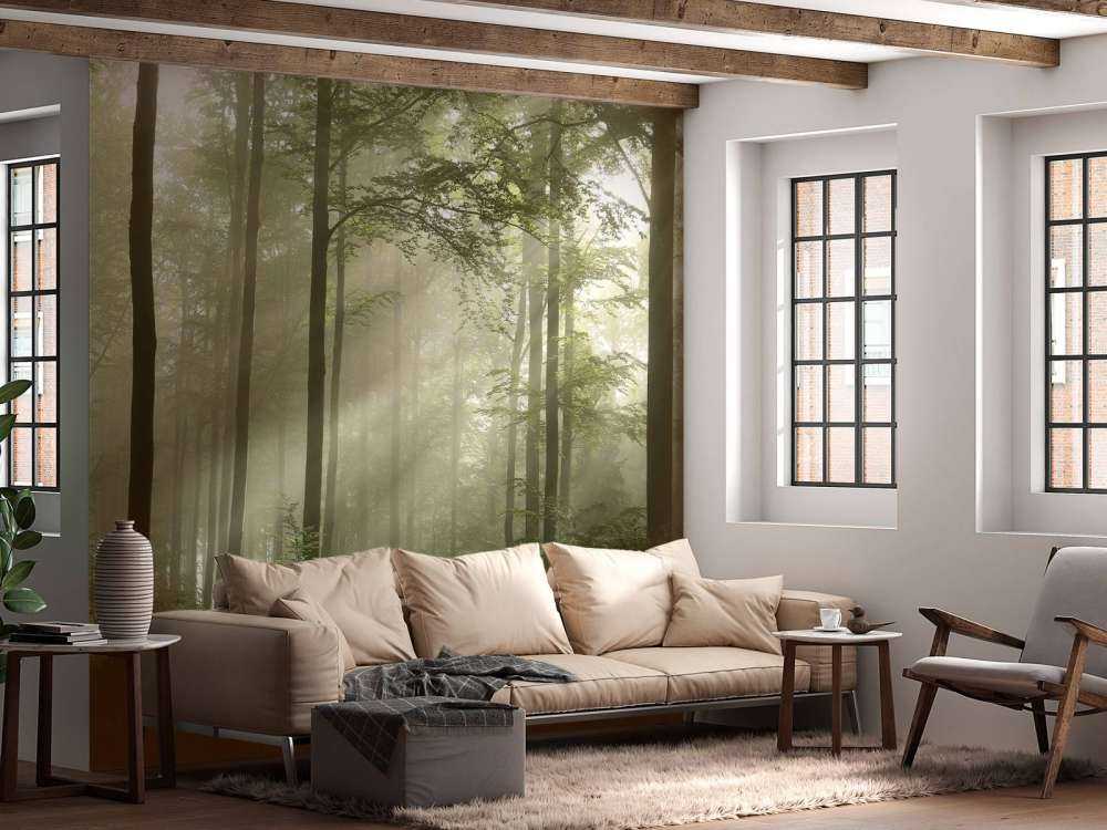 Foresta verde nella nebbia