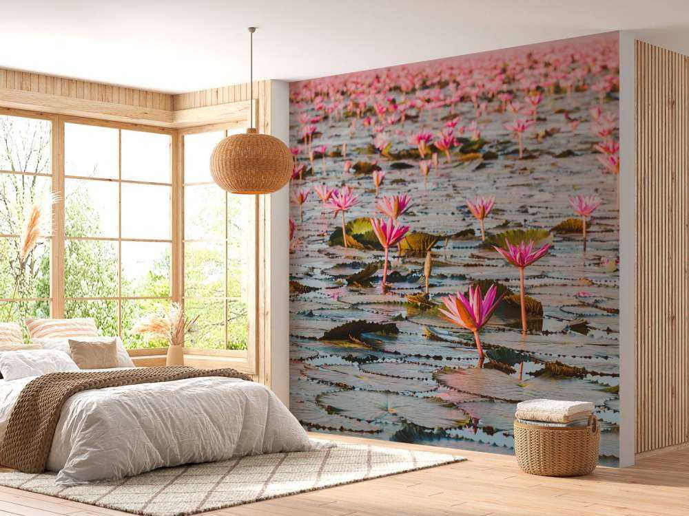 Mare di fiori di loto