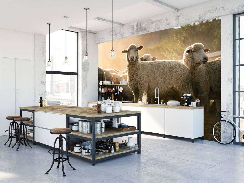 Gregge di pecore con l'ora d'oro