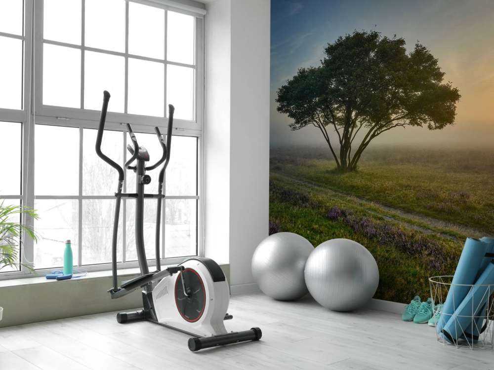 Alba sulla brughiera