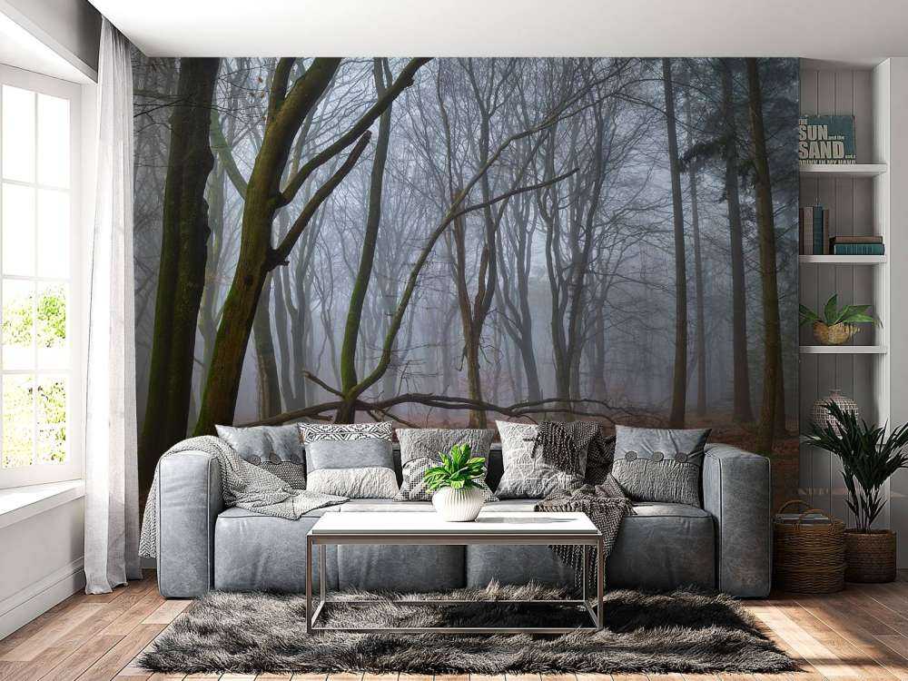 Misteriosa foresta nebbiosa