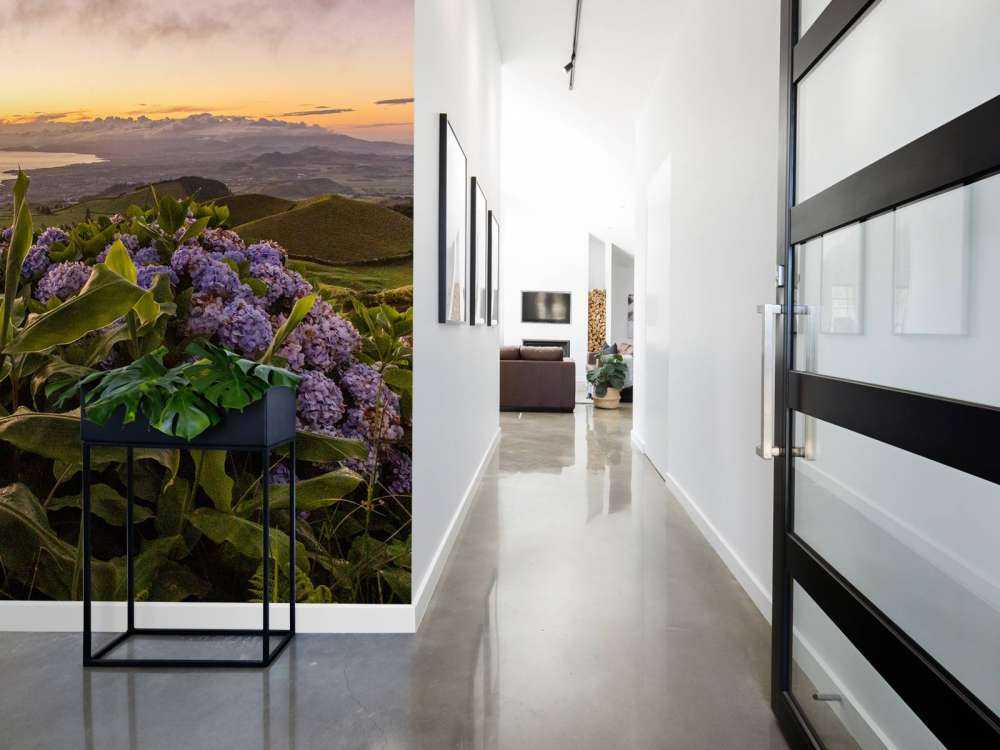 Tramonto con ortensie