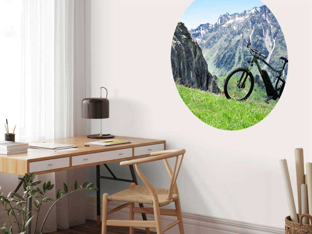 Bicicletta elettrica in Austria