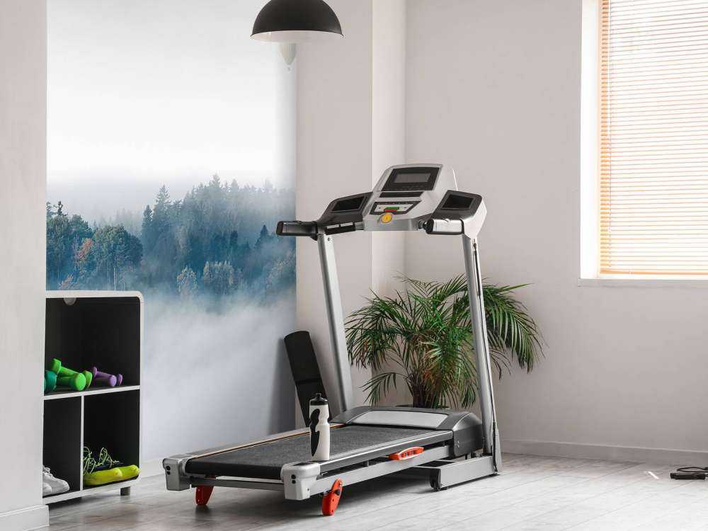 Misty Morning Surprise