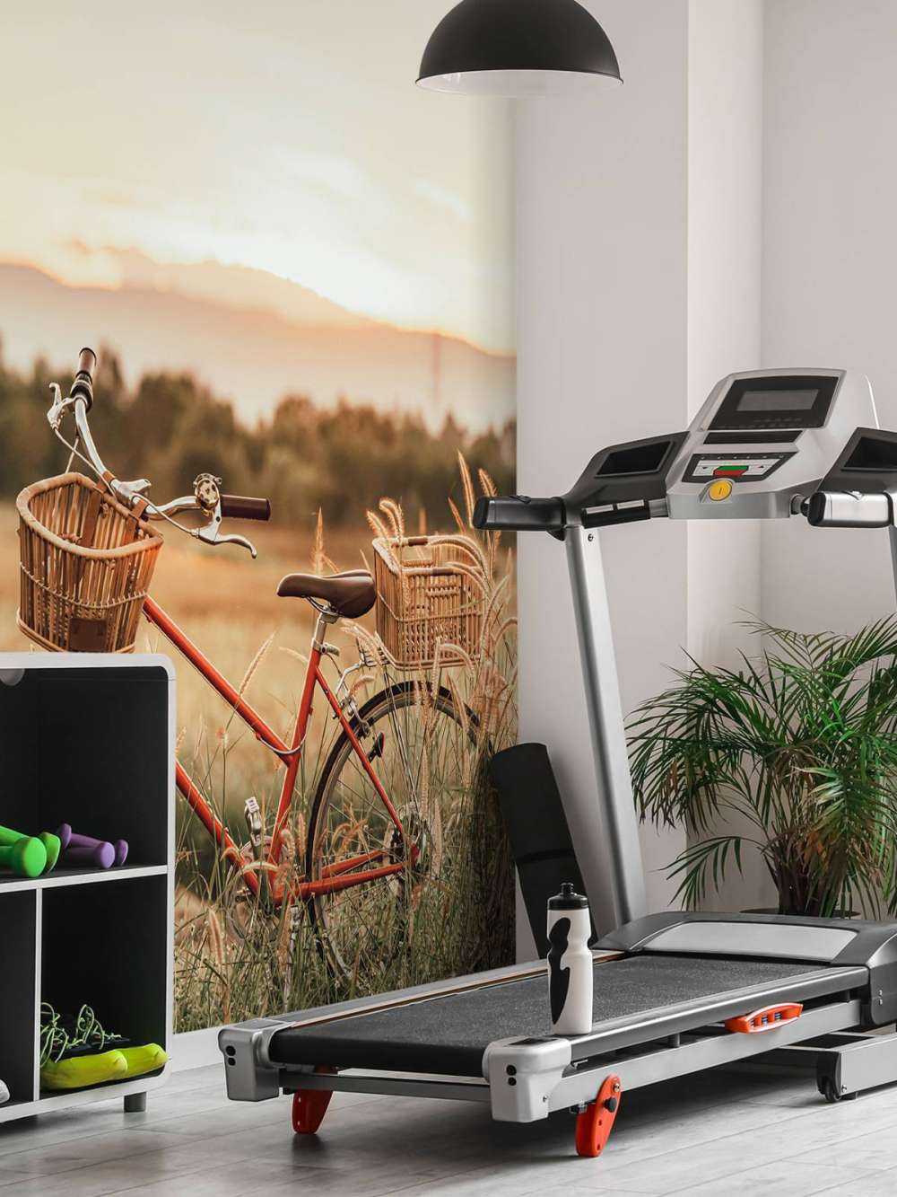 Bici d'epoca in estate