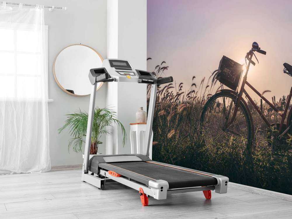 Bicicletta in un campo