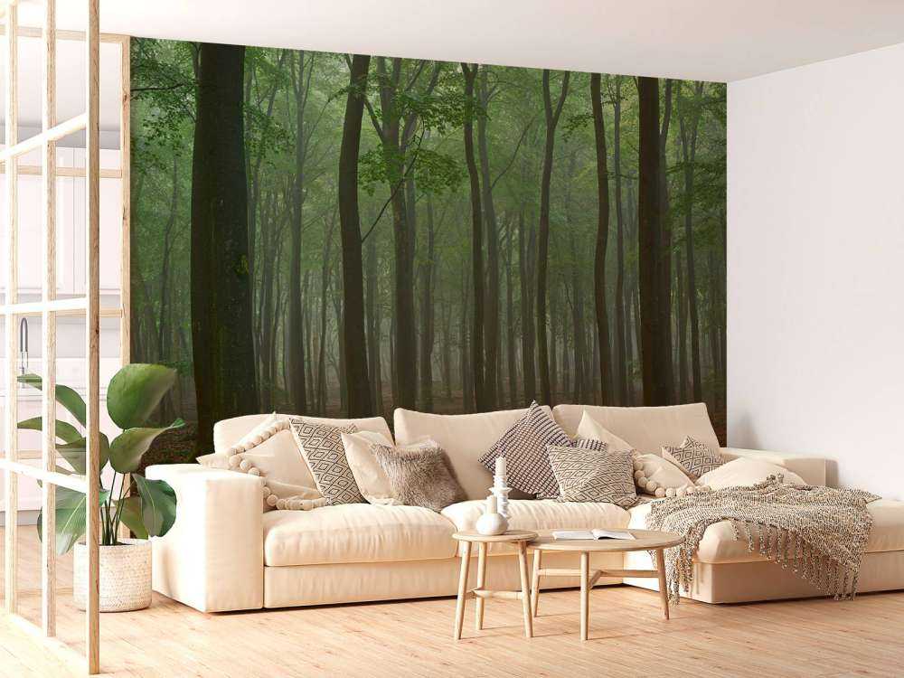 Nebbia nella foresta