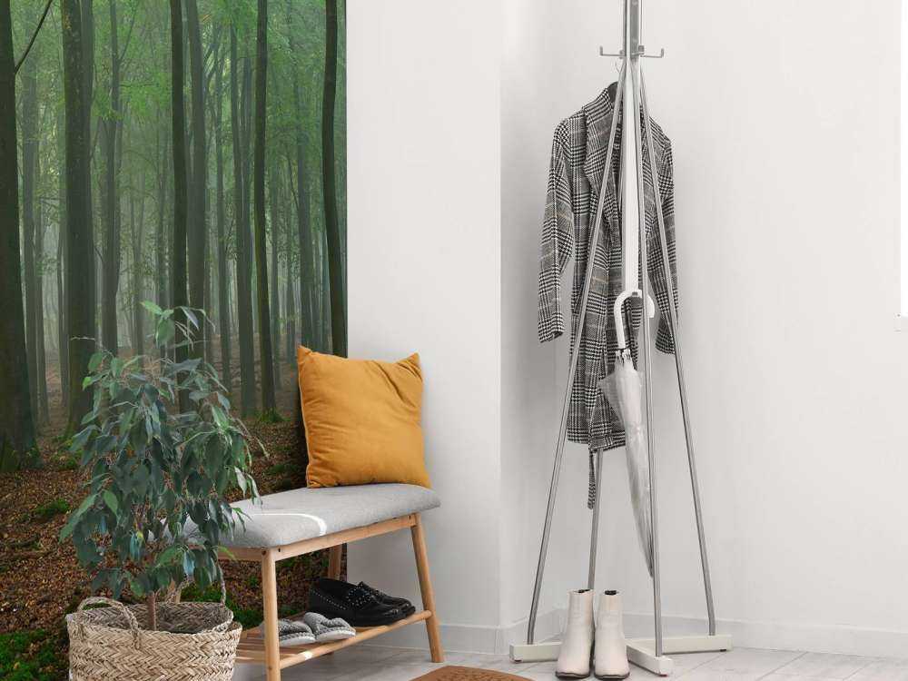 Nebbia nella foresta