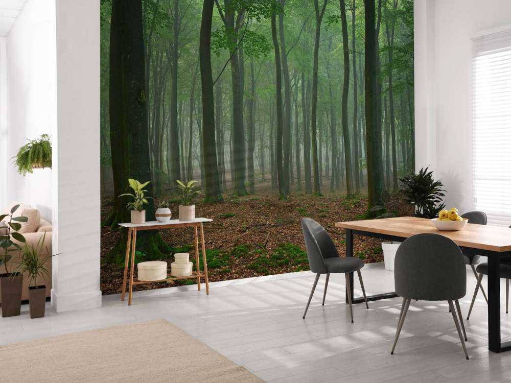 Nebbia nella foresta