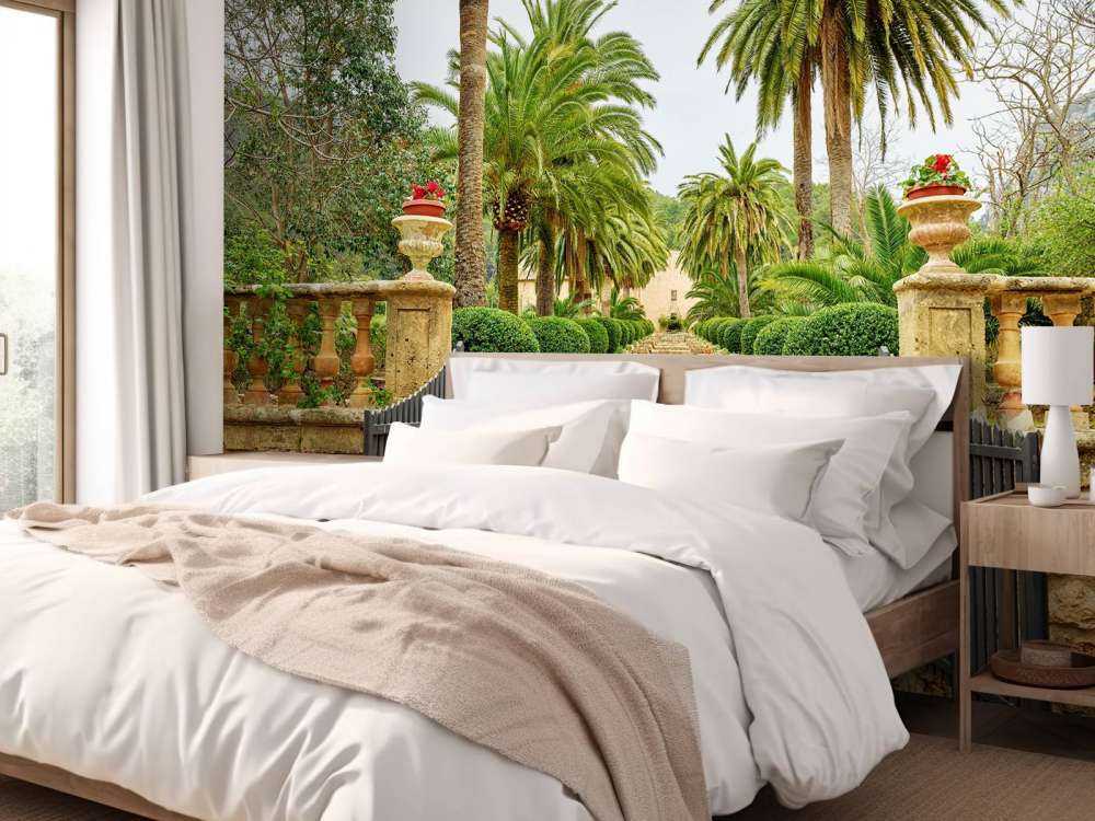 Palme lungo i gradini di pietra