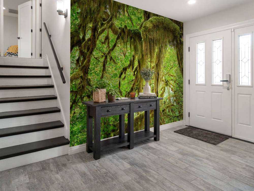 Muschio sui rami degli alberi